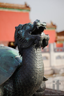 Statue of turtle - dragon. Forbidden City. Beijing. China.