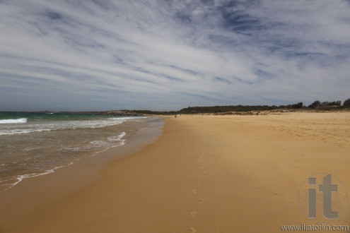 Beach between Mullimbura point and Bingi point. Nsw. Australia.
