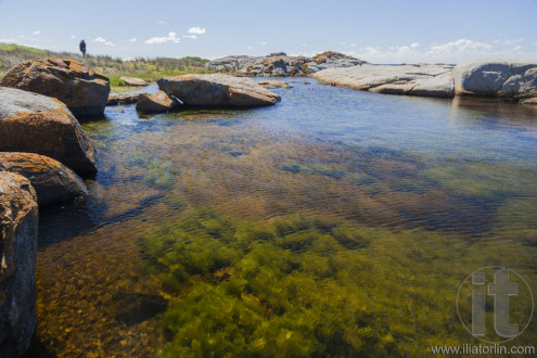 Rock pool near Bingi Bingi pount. Bingie (near Morua) . NSW. Australia