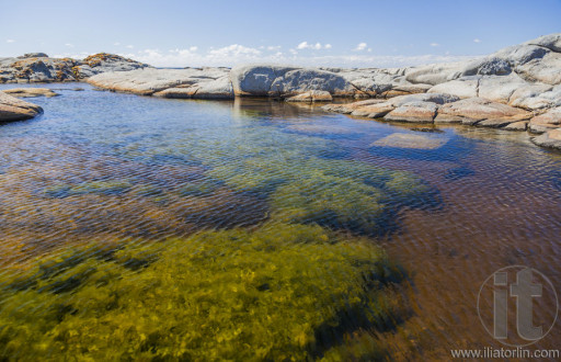 Rock pool near Bingi Bingi pount. Bingie (near Morua) . NSW. Australia