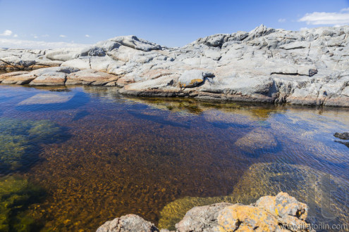 Rock pool near Bingi Bingi pount. Bingie (near Morua) . NSW. Australia