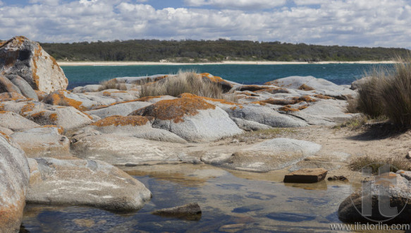 Rock pool near Bingi Bingi pount. Bingie (near Morua) . NSW. Australia