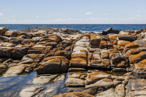 Rock pool near Bingi Bingi pount. Bingie (near Morua) . NSW. Australia