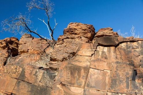 Chambers Gorge aboriginal engraving site. Flinders Ranges. South Australia