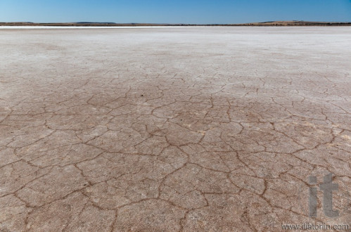 Cracked earth on dry bottom of salt lake. Lochiel. South Australia.