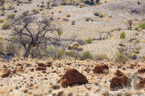 Desert landscape. Flinders Ranges. South Australia