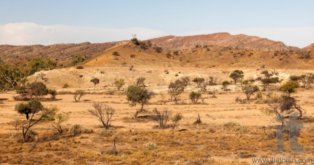 Flinders Ranges landscape. South Australia.