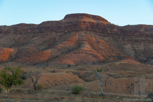 Flinders Ranges landscape. South Australia.