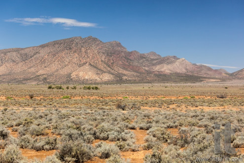 Flinders Ranges Landscape. South Australia