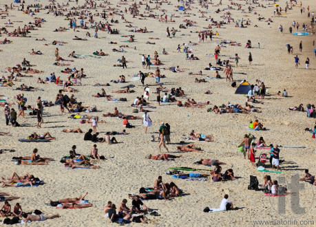 People are taking sunbath on Sydney famous Bondi Beach. Sydney. Australia