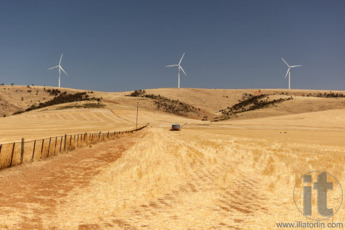 Rural landscape with wind generators distorted by hot air. South Australia