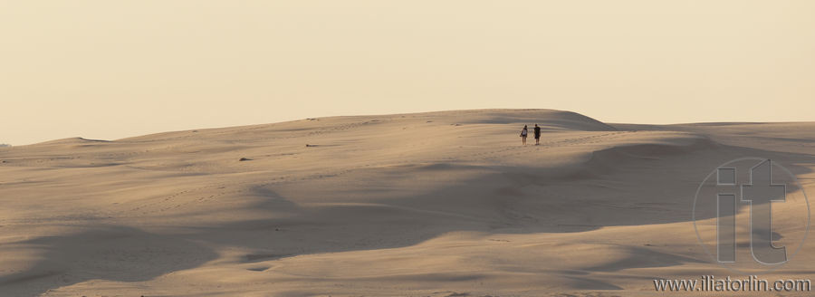 Sand dunes near Stockton Beach. Port Stephens. Anna Bay. Australia.