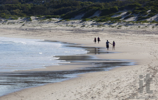 Two couples walk on a beach. Fingal Bay. Port Stephens. Australia.
