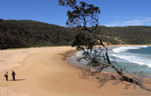 View to Steamers beach in Booderee National Park. Jervis Bay. Australia