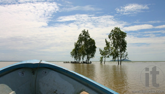 On the way to temple of Phnom Da. Wet season. Fishermen rest in shade of trees in flooded fields. Near town of Takeo. Cambodia.