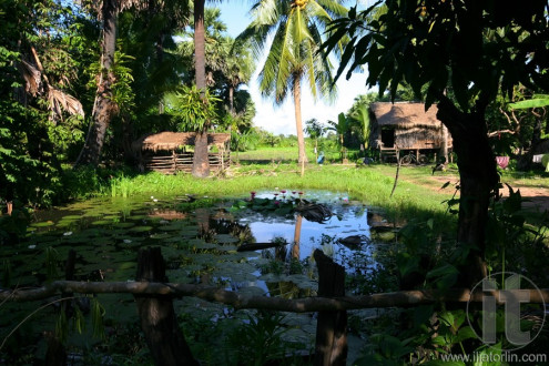 Typical county side landscape. Rural houses near Siem Reap. Cambodia.