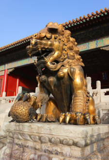 Guardian Lion in front of The Three Great Halls Palace. Forbidden City. Beijing. China