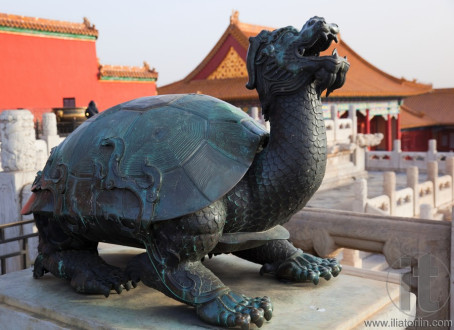Statue of turtle - dragon. Forbidden City. Beijing. China.