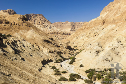 View from Ein Gedi kibbutz. Near Dead Sea, Israel