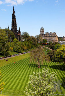 Striped lawn of Princess Gardens. Edinburgh. Scotland. UK.
