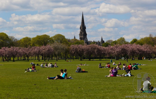 The Meadows Park in spring. Edinburgh. Scotland. UK.