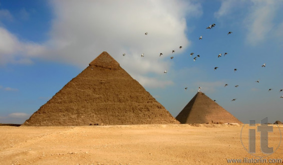 Egypt Giza pyramids with flying birds on the foreground
