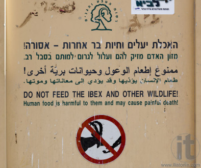 Do not feed ibex. Makhtesh Ramon. Israel