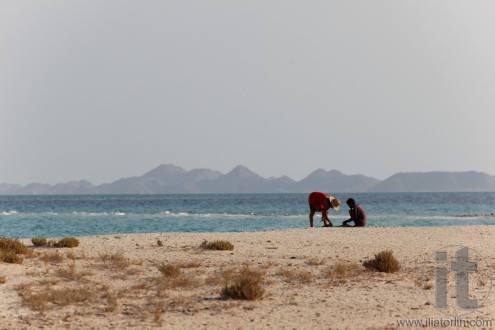 Dahlak archipelago (islands). Eritrea. Africa.