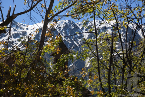 Church viewed through the trees. Stepantsminda. Georgia.