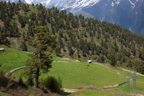 Mountains landscape near Mestia village. Upper Svaneti. Georgia