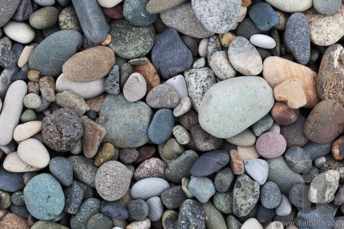 Pebbles on the beach. Batumi. Georgia.