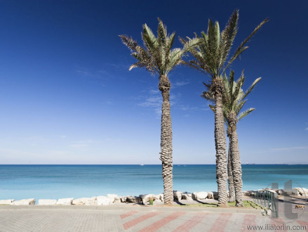 Bat Galim promenade. Galshanim beach. Haifa. Israel. of Bat Gali