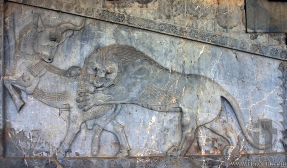 Lion and deer on bas-reliefs of Persepolis, Iran