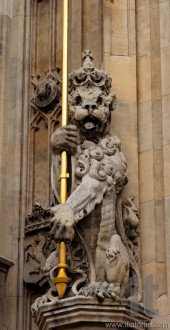 Lion. Facade detail. Houses of Parliament. London. UK.