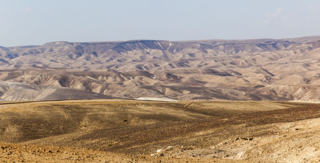 Landscape in Judean desert. Israel.