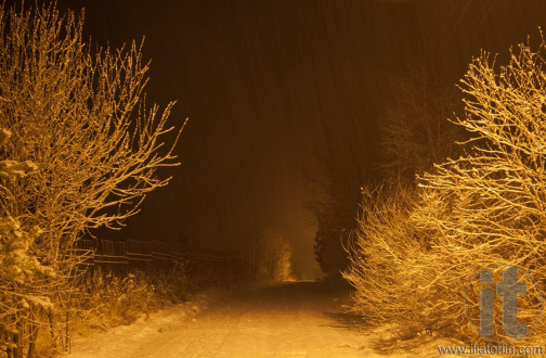 Heavy snowfall at night. Moscow Region. Russia.