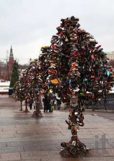 Metal Trees of Love with locks. New Russian tradition. Moscow. Russia.