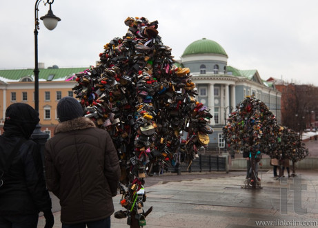 Metal Trees of Love with locks. New Russian tradition. Moscow. Russia.