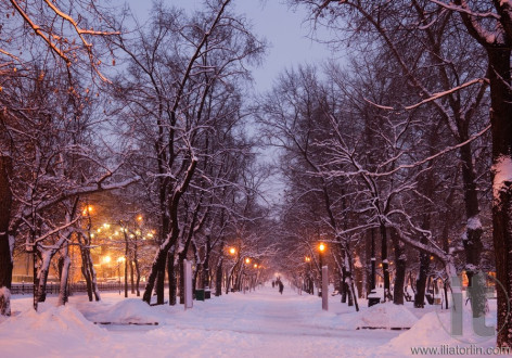 Winter evening in one of Moscow boulevards. Russia.