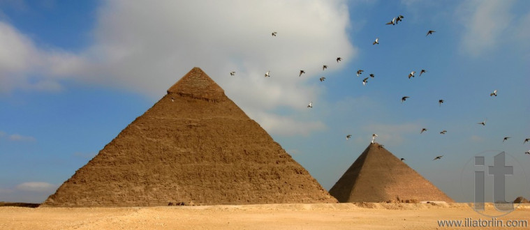 Egypt pyramids and birds