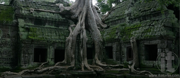 Ta Prohm temple. Angkor, Siem Reap. Cambodia