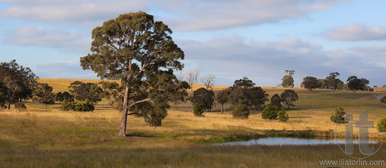 A rural landscape. Country New South Wales. Australia