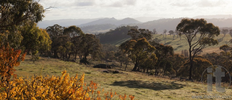 Autumn colours in countryside tablelands near Oberon. NSW. Australia.