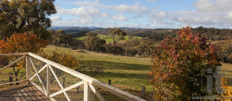 Autumn colours in countryside tablelands near Oberon. NSW. Australia.