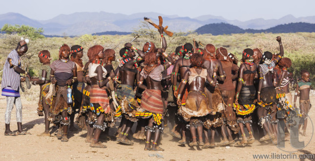 Group of Hamar women dance during bull jumping ceremony.