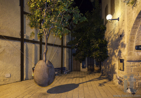 Floating Orange Tree by Ran Morin. Tel Aviv. Israel.